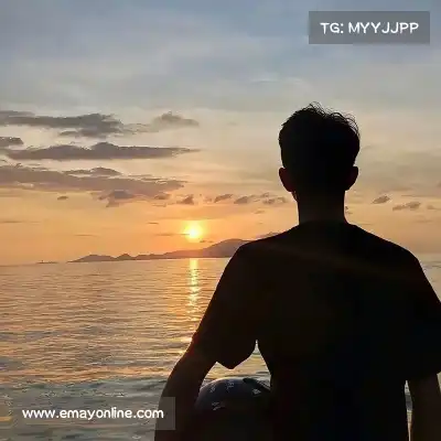 单欣辛